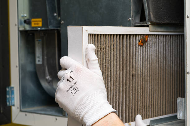 Best Local Air Duct Cleaning Services  in Captain Cook, HI