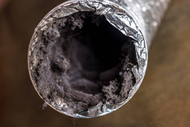 Best Air Duct Cleaning Near Me  in Captain Cook, HI