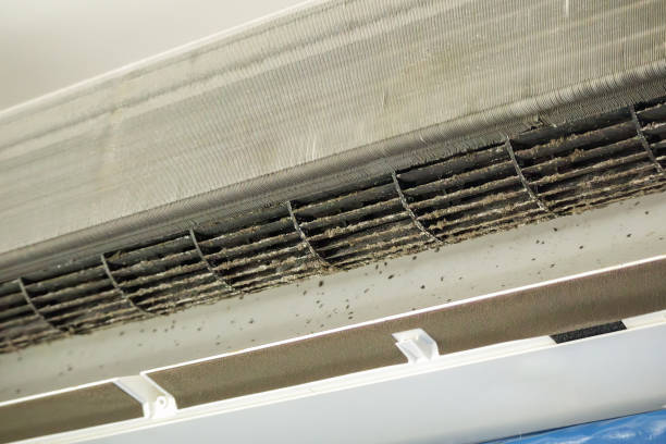 Best Affordable Duct Cleaning Services  in Captain Cook, HI