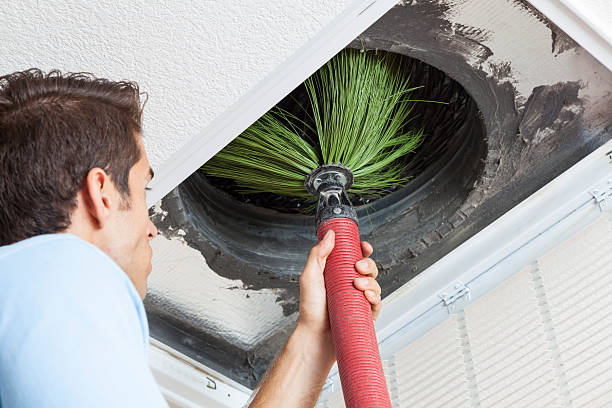 Best Affordable Duct Cleaning Services  in Captain Cook, HI