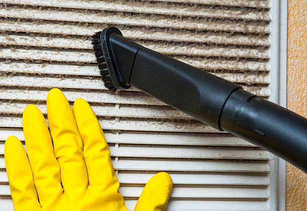 Best Local Air Duct Cleaning Services  in Captain Cook, HI